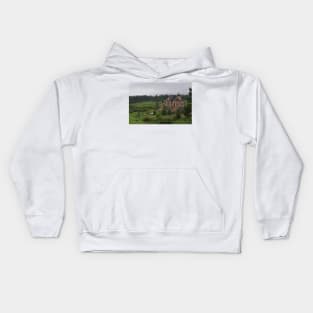 Colorado Chapel Kids Hoodie